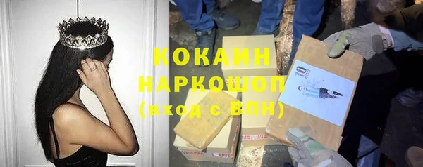 стаф Алзамай