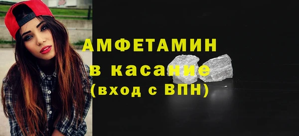 стаф Алзамай