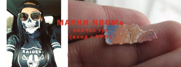 стаф Алзамай