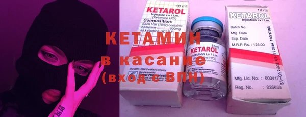 стаф Алзамай