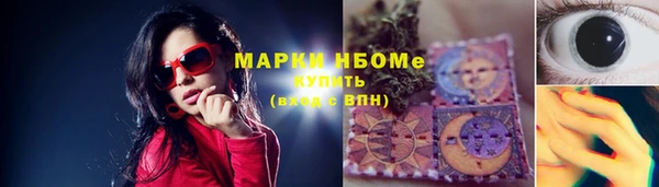 стаф Алзамай