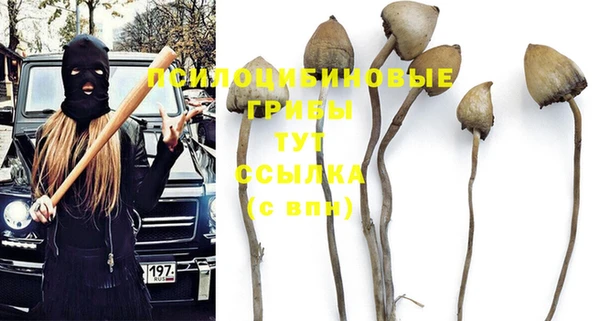 мескалин Алексеевка