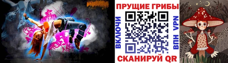 где купить   Камбарка  Псилоцибиновые грибы мицелий 
